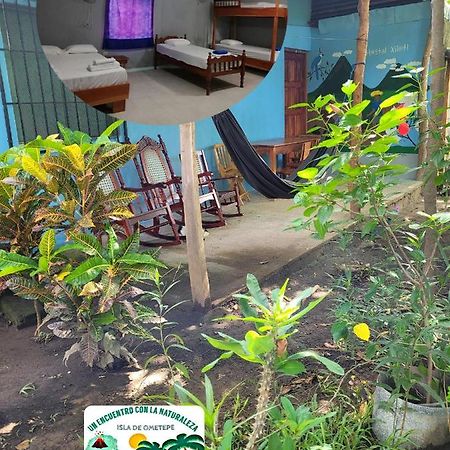Hostal Xilotl San Jose del Sur Exterior photo